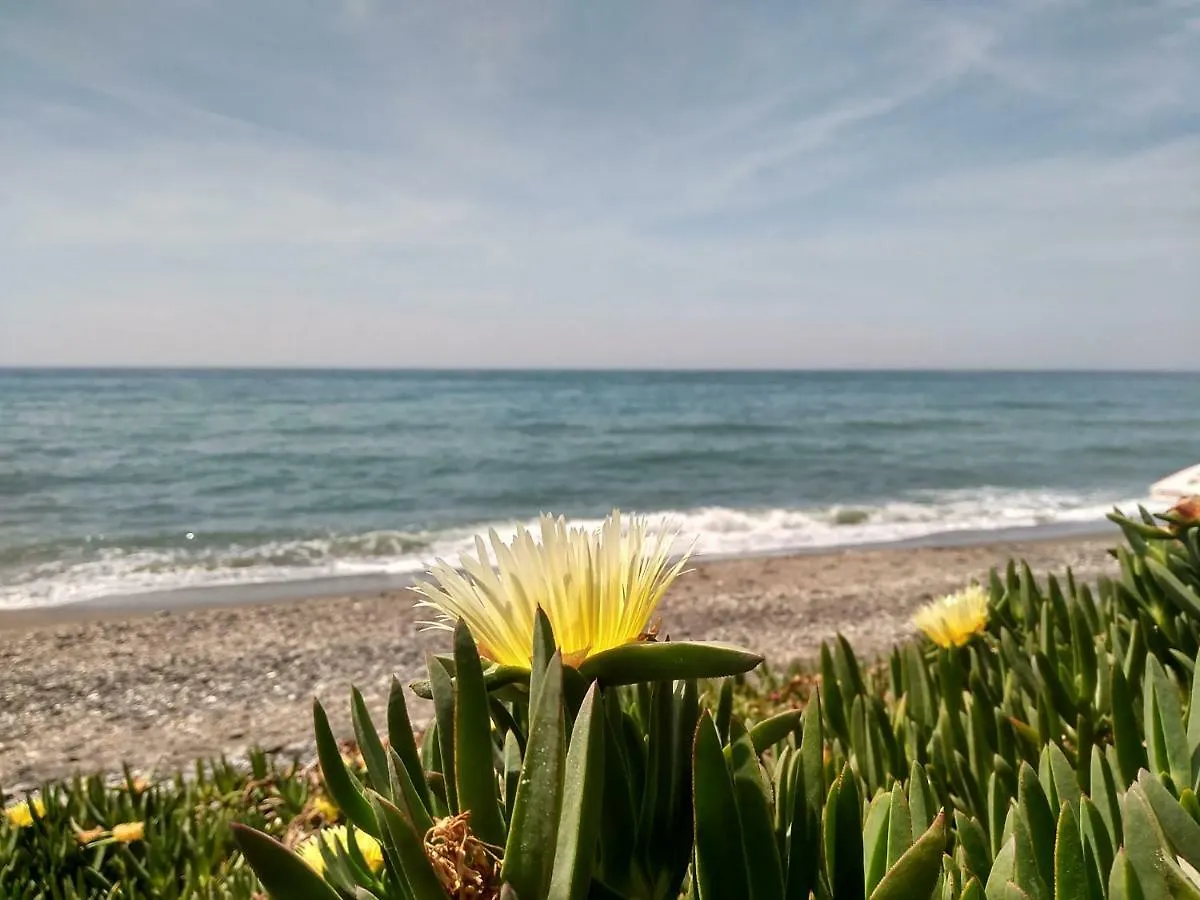 Apartment El Morche Beach Torrox